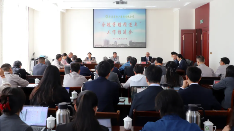（中国）科技公司召开“合规管理推进年”工作推进会