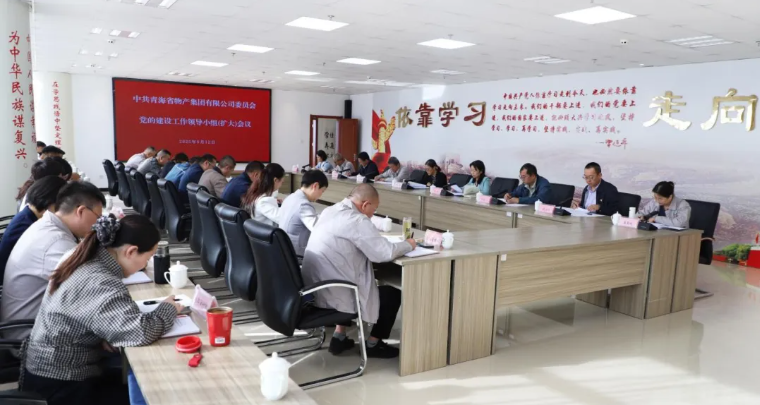 省物产集团党委召开党的建设工作领导小组（扩大）会议