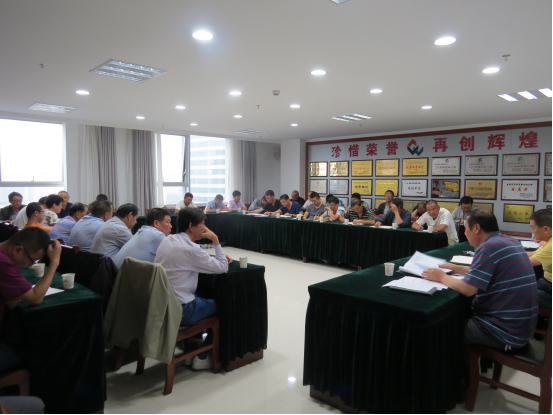 （中国）科技公司召开项目建设工作专题会议
