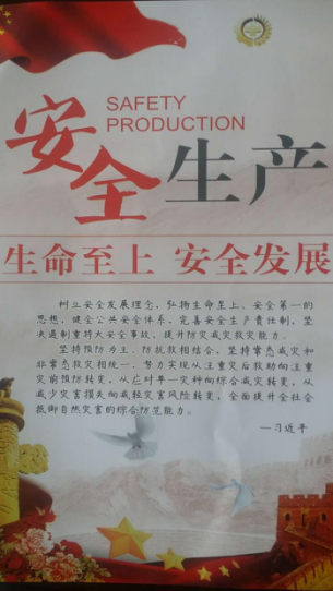 （中国）科技公司 组队参加省级“安全生产月”咨询日活动
